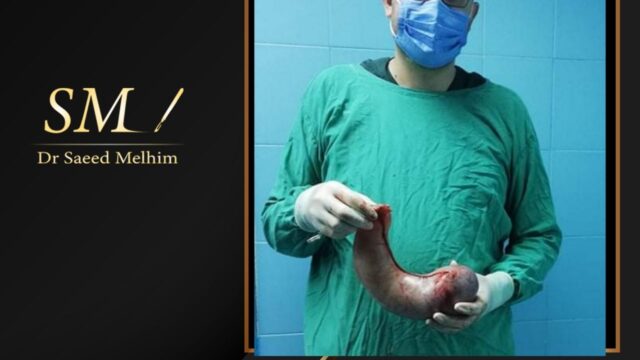 503489479_1036281381988024_7527622519350561862_n