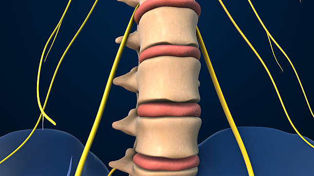 انزلاق غضروفي بسبب الجلوس الطويل