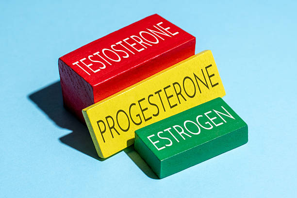 تأثير الهرمونات على انتظام الدورة